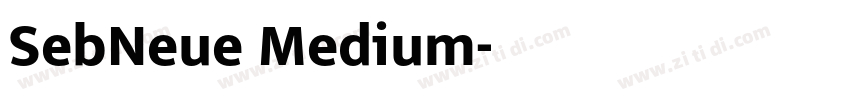 SebNeue Medium字体转换